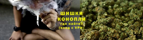 молекула духа Михайлов