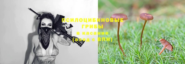 mix Медвежьегорск