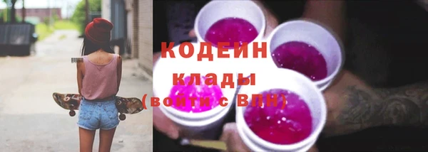 прущий лед Тайга