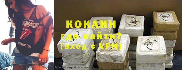 ешки Медногорск