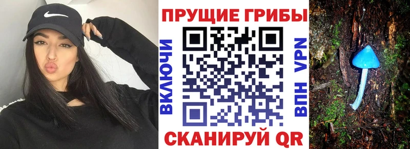 ОМГ ОМГ ССЫЛКА  Крым  Галлюциногенные грибы ЛСД  наркотики 